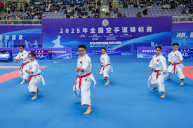 一般的球队 一般的球队