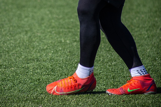 科尔的评价 科尔的评价