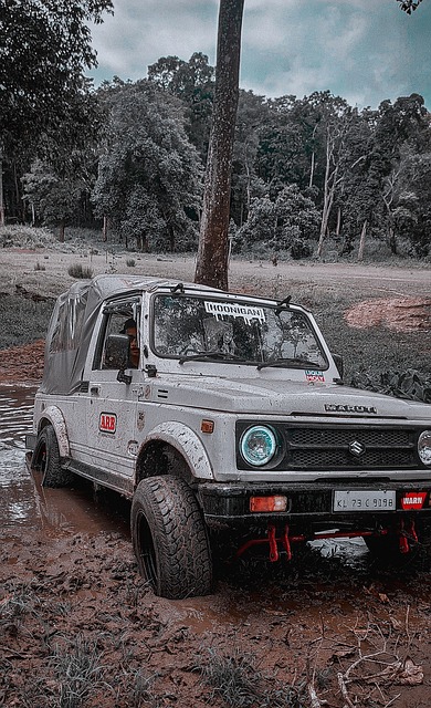 率上继续占 率上继续占